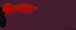 2d_animation animal_genitalia animal_penis animated animated_gif anthro balls big_penis black_body black_fur bodily_fluids canid canine canine_genitalia canine_penis canis cum cum_drip cumshot digital_media_(artwork) domestic_dog dripping ejaculation erection frame_by_frame fur genital_fluids genital_shot genitals hi_res jace_ehnon knot knotted_penis loop male mammal orgasm penis penis_shot pixel_(artwork) pixel_animation red_penis safrana saggy_balls sheath short_playtime side_view simple_background solo throbbing throbbing_penis type:gif vein veiny_penis