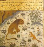 15th_century ancient_art brown_body brown_fur canid canine canis duo english_description felid feral flower fur illuminated_manuscript jackal kalila_wa_dimna lion looking_at_another male mammal orange_body orange_fur outside pantherine paws persian_text plant sitting sitting_on_ground snout tail text traditional_media_(artwork) translation_request unknown_artist
