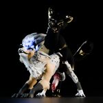 1:1 3d_(artwork) animal_genitalia animal_penis black_background blender_(artwork) canid canine canis darius_(baito) digital_media_(artwork) dog_knot domestic_dog feral feral_on_feral feral_penetrating genitals hi_res mammal penetration penis scribble_note simple_background