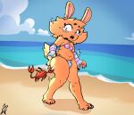 accident accidental_exposure anthro arthropod beach bodily_fluids bulge clothing crab crustacean decapod dexterx femboy flying_sweatdrops hand_on_butt hand_on_own_butt lagomorph malacostracan male mammal outside pinch shocked solo sweat sweatdrop swimwear tears