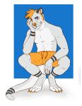 2024 4_toes anthro blonde_hair blue_eyes bottomwear clothed clothing countershade_face countershade_feet countershade_legs countershade_torso countershading crouching davias00 feet full-length_portrait fur grey_body grey_fur hair hand_on_face hi_res looking_at_viewer male mammal mouth_closed mustelid nero_(nero.wolf) otter portrait shorts smile solo tail toes topless