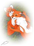  disney roary the_fox_and_the_hound todd vixey 