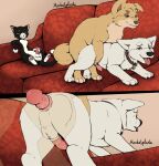 anal angel_(lady_and_the_tramp) animal_genitalia animal_penis anus balls berger_blanc_suisse black_body black_fur bodily_fluids bolt_(bolt) bolt_(film) butt canid canine canine_genitalia canine_penis canis collar crossgender digital_media_(artwork) disney doggystyle domestic_cat domestic_dog erection eunuch felid feline felis feral feral_on_feral from_behind_position ftm_crossgender fur furniture genital_fluids genitals german_shepherd group herding_dog knot lady_and_the_tramp male male_penetrating mammal masturbation mittens_(bolt) mochasplash open_mouth pastoral_dog pawpads paws penetration penile penile_penetration penile_spines penis pink_anus pink_penis red_collar red_sofa sex sitting smile sofa tail tan_body tan_fur tongue trio tuxedo_cat white_body white_fur