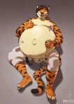 2023 6_nipples absurd_res anthro areola belly big_belly bodily_fluids brown_hair clothed clothing felid genitals hair hi_res kaydex lactating looking_at_viewer looking_pleasured male male_lactation mammal markings multi_nipple navel nipples orange_body owligatorstudios pantherine penis pregnant pregnant_male solo striped_markings striped_tail stripes tail tail_markings tiger topless