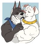 2025 ace_the_bat-hound anthro bicolored_fur bird_dog black_body black_fur black_lips black_nose blue_background blue_kerchief boxer_(dog) bulldog canid canine canis collar collar_only dc_comics dc_league_of_super-pets domestic_dog duo floppy_ears folded_ears fur gold_(metal) gold_collar grabbing_head holding_back holding_cheek hunting_dog kerchief kissing krypto labrador lips male mammal mastiff metal_collar molosser muscular muscular_anthro muscular_arms muscular_male no_shading nude pecs pink_nose pointy_ears retriever shirtless simple_background thick_neck warner_brothers whiskers white_body white_fur wrist_grab zurdomon
