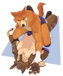 2024 anthro artist_name blue_markings brisky_(briskycoyote) brown_body brown_fur bulge bulge_frottage canid canine canis claws clothed clothing coyote dingo duo elbow_pads erection erection_under_clothing eye_contact finger_claws footwear fur hair hi_res knee_pads looking_at_another male male/male mammal markings orange_body orange_fur pinned pinned_to_ground ramaelligre tail tan_body tan_fur text topless topless_anthro topless_male whiskers wraps wrestling wrestling_briefs wrist_wraps