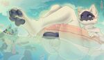 absurd_res animal_genitalia animal_penis anthro beach canine_genitalia canine_penis duo generation_4_pokemon genitals hi_res knot lucario male nintendo pawpads penis pokemon pokemon_(species) pool_float solenyy spark_090