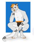 anthro blonde_hair clothing davias00 digital_media_(artwork) hair hi_res looking_at_viewer male mammal mustelid nero_(nero.wolf) otter simple_background smile solo tail underwear