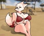 2026 3d_(artwork) 3d_background absurd_res anthro blurred_background breasts canid canine cheek_tuft cleavage cleavage_overflow clothed clothing cluster-raid countershade_breasts countershade_face countershade_torso countershading digital_drawing_(artwork) digital_media_(artwork) dipstick_tail ear_piercing eyelashes facial_tuft fany_(foxdee) female female_anthro fox fur hand_tattoo hi_res inner_ear_fluff mammal markings mixed_media navel pale_fur piercing red_clothing sitting slightly_chubby slightly_chubby_anthro slightly_chubby_female solo swimwear tail tail_markings thick_thighs tuft two-piece_swimsuit white_body white_fur