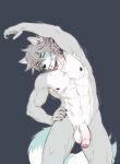 abs akaro_(lukiro) anthro balls canid canine canis facial_piercing flaccid foreskin fur genitals grey_body grey_fur grey_hair hair hair_over_eye hi_res humanoid_genitalia humanoid_penis hybrid lip_piercing looking_at_viewer lukiro male mammal markings multicolored_body multicolored_fur muscular muscular_male nipples nude obliques one_eye_closed pecs penis piercing procyonid raccoon serratus snakebite_piercing solo stretching striped_markings striped_tail stripes stud_piercing tail tail_markings two_tone_body two_tone_fur wink winking_at_viewer wolf