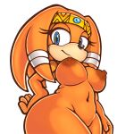 1:1 alpha_channel anthro areola bandage big_breasts black_nose blue_eyes breasts brown_areola brown_nipples crown curvy_figure echidna english_text eyelashes female female_anthro fur hair hand_on_hip headgear hi_res long_hair looking_at_viewer mammal monotreme navel nipples nude orange_body orange_fur orange_hair sega simple_background smile solo sonic_adventure sonic_the_hedgehog_(series) style_emulation tan_body tan_fur text thick_thighs tiara tikal_the_echidna transparent_background voluptuous voluptuous_anthro voluptuous_female wide_hips zadicnsfw