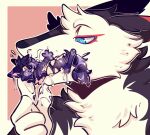 2019 ambiguous/ambiguous ambiguous_gender anthro bileshroom biped black_body black_fur blue_eyes bodily_fluids domestic_cat felid feline felis fur in_mouth looking_at_another mammal multicolored_body multicolored_fur paws pink_background saliva saliva_string sergal simple_background size_difference smile tail teeth white_body white_fur yellow_eyes