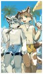 absurd_res anthro arm_around_another band-aid bandage beach blue_eyes brown_body brown_fur bulge can_we_have_a_second_summer_vacation_if_we_miss_it? clothed clothing domestic_cat duo eyewear felid feline felis fluffy fluffy_tail food fur glasses green_eyes grey_body grey_fur hi_res jewelry kemono looking_at_viewer male mammal milkybot multicolored_body multicolored_fur necklace pawpads pointy_ears popsicle qi_cheng swimming_trunks swimwear tabby_cat tail topless topless_male two_tone_body two_tone_fur wang_huailie wearing_glasses weibo weibo_logo white_body white_fur