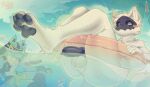 absurd_res animal_genitalia animal_penis anthro balls bone bone_mask canine_genitalia canine_penis clothing generation_4_pokemon genitals hi_res knot lucario male mask nintendo pawpads penis pokemon pokemon_(species) pool_float skull skull_mask solenyy spark_090 swimming_trunks swimwear white_body