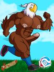 2026 abs accipitrid accipitriform anthro avian bald_eagle ball beak big_muscles big_nipples big_pecs big_penis bird blue_sky brown_body brown_feathers circumcised clothing cloud clutch_(fifa) eagle erect_nipples erection feathers fifa footwear footwear_only genitals grass green_grass hi_res huge_nipples huge_pecs huge_penis lazyken looking_at_object male mostly_nude muscular muscular_anthro muscular_arms muscular_legs muscular_male nipples nude nude_anthro nude_male pecs penis plant playing_sport red_hairband running sea_eagle shoes shoes_only sky sneakers soccer_ball socks solo sport watermark white_head yellow_beak