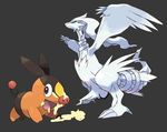  nintendo pokabu pokemon reshiram tagme 