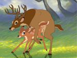  bambi disney faline tagme 