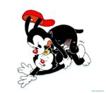  animaniacs dot_warner stefanescu tagme wakko_warner 