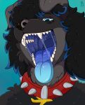 aircraft airplane anthro bird_dog black_hair blind blue_highlights blue_mouth bodily_fluids canid canine canis collar disability domestic_dog gradient_mouth hair hi_res highlights_(coloring) hunting_dog imminent_vore kazumiaure labrador lorenzothedog male mammal mottled mottled_nose mouth_shot open_mouth retriever saliva saliva_on_tongue saliva_string smile teeth tongue tongue_out vehicle vore
