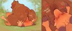 5_fingers absurd_res anthro anthro_on_anthro anus backsack balls bear big_anus big_balls big_butt black_body black_claws black_ears black_fur black_nose blush blush_lines bodily_fluids breath brown_anus brown_balls brown_body brown_ears brown_fur brown_tail butt butt_grab butt_sniffing canid canine claws close-up duo eyes_closed facesitting feet fingers fox fur genitals grass hand_on_butt heart_symbol hi_res interspecies lying male male/male mammal musk musky_butt nepentz nose_to_anus nude on_back on_ground onomatopoeia orange_body orange_fur outside paws plant pointy_ears puffy_anus short_tail sitting sitting_on_another sky sniffing sound_effects sweat sweatdrop sweaty_butt tail text toe_claws toes tongue tongue_out