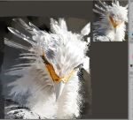  art_program_in_frame art_study bird closed_eyes feathers lily_lyraa no_humans original photo-referenced white_bird white_feathers 