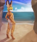  2017 anthro beach butt digital_media_(artwork) fur hair jamesfoxbr lagomorph lineless lineless_art long_ears looking_at_viewer male mammal nude outside rabbit sand sea seaside sky solo standing water 