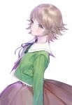  brown_eyes brown_hair danganronpa fujisaki_chihiro seifuku short_hair skirt 