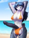  2017 ailaanne anthro aolun_(character) balls beach bikini black_hair black_nose black_penis breasts clothed clothing cloud dickgirl fangs feline hair hands_behind_head humanoid_penis intersex long_hair looking_at_viewer mammal nipple_bulge open_mouth outside penis saber-toothed_cat sabertooth_(feature) seaside sky solo stripes swimsuit water yellow_eyes 