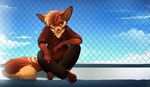  4_toes 5_fingers anthro barefoot blue_eyes brown_fur brown_hair canine clothing day digitigrade fence fox fur hair hoodie magenta7 male mammal outside sky solo toes 
