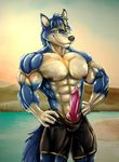  abs agonylight biceps bleakcat canine clothing digital_media_(artwork) hair hi_res knot male mammal muscular pants penis solo standing triceps wolf yellow_eyes 