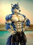  abs agonylight biceps bleakcat canine clothing digital_media_(artwork) hair hi_res male mammal muscular pants solo standing triceps wolf yellow_eyes 