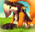  2013 anthro black_hair black_nose canine day female fox fur grass hair kero_tzuki mammal orange_fur outside purple_eyes solo 