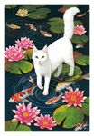  cat_focus flower heterochromia koi lily_pad looking_at_viewer no_humans original outdoors ripples signature takigraphic walking walking_on_liquid water white_cat 