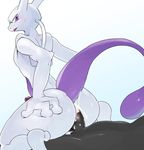  2016 anal anal_penetration anthro anus blush butt cum cum_in_ass cum_inside cum_on_penis duo erection grey_penis hi_res hidoritoyama humanoid_penis legendary_pok&eacute;mon male male/male male_penetrating mewtwo nintendo nude on_top penetration penis pok&eacute;mon reverse_cowgirl_position semi-anthro sex simple_background solo_focus video_games white_background 