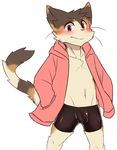  anthro blush boxers_(clothing) brown_fur bulge cat clothing cub feline fur mammal manadezimon navel open_jacket penis_outline red_eyes standing tan_fur teenager underwear whiskers young 