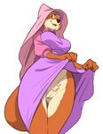  canine clothing disney dress female flashing fox maid_marian mammal pussy robin_hood_(disney) unknown_artist 