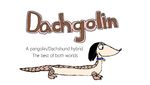  canine chrisfugo dachshund dog english_text mammal pangolin text 