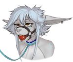  ara_(kin) ball_gag bdsm brown_eyes canine cat collar drooling ears_back feline female freckles fur gag hair harness_ball_gag hybrid leash mammal messy multicolored_fur muzzle_(object) restrained saliva solo submissive totesfleisch8 wolf wolfcat 