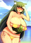  1girl animal_ears between_breasts bikini blush breasts cleavage collarbone eyepatch_bikini female green_hair hot huge_breasts issun_(yukariaissun) jitome long_hair micro_bikini mound_of_venus open_mouth outdoors plump side-tie_bikini solo standing string_bikini summer sweat swimsuit tail watermelon wide_hips wolf_ears wolf_tail yellow_bikini yellow_swimsuit 