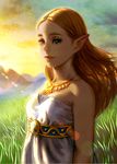  bare_shoulders blonde_hair breasts dress eyelashes from_side grass green_eyes highres jewelry lips long_hair looking_at_viewer medium_breasts necklace outdoors pink_lips pointy_ears princess_zelda sky sleeveless sleeveless_dress smile solo strapless strapless_dress sunset the_legend_of_zelda the_legend_of_zelda:_breath_of_the_wild thick_eyebrows ug_(ugg) upper_body 