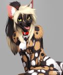  2015 african_wild_dog anthro black_nose breasts canine casual_nudity collar ear_piercing featureless_breasts female fur grey_background hair kero_tzuki mammal nipples nude piercing pose shiretsuna_(character) simple_background smile solo teeth tongue 