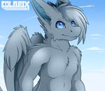  2015 aircraft airplane anthro blue_eyes blue_sky cloud colarix day detailed_background digital_media_(artwork) dragon feathered_wings feathers fur furred_dragon grey_feathers grey_fur grey_hair hair hi_res horn looking_at_viewer male nude outside short_hair simple_background sky solo standing wings 