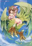  :q armpits ass blush breasts brown_hair cameltoe claws cleavage cloud day feathers flying from_behind green_eyes hair_ornament harpy_(monster_girl_encyclopedia) highres kenkou_cross looking_at_viewer looking_back medium_breasts monster_girl monster_girl_encyclopedia naughty_face nipples official_art panties pink_panties pussy_juice short_hair sky smile solo tongue tongue_out underwear wings 