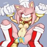  amy_rose mel_the_hybrid sega sonic_team tagme 