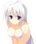  1girl absurdres ahoge alternate_costume alternate_hairstyle armpit_crease ayachi_nene bare_shoulders bikini bow bow_bikini breasts c: cherry_blossom_print cleavage closed_mouth collarbone eyes_visible_through_hair floral_print grey_hair hair_between_eyes halterneck highres kaon_zz large_breasts leaning_forward long_hair looking_at_viewer ponytail print_bikini purple_eyes sanoba_witch simple_background smile solo split_mouth straight_hair swimsuit v_arms very_long_hair white_background white_bikini white_bow 