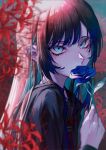  1girl ado_(utaite) altruist_0722 black_hair black_sailor_collar black_shirt blue_eyes blue_flower blue_hair blue_rose blurry chando_(ado) commentary cosplay depth_of_field flower highres holding holding_flower long_hair long_sleeves looking_at_viewer mole mole_under_eye necktie red_necktie rose sailor_collar school_uniform serafuku shimizu_hinako shimizu_hinako_(cosplay) shirt silent_hill_(series) silent_hill_f solo spider_lily upper_body utaite 