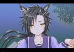  1boy 1girl air_shakur_(umamusume) animal_ears black_hair blue_background blush closed_mouth commentary_request ear_chain eyebrow_piercing face_piercing highres holding_hands horse_ears horse_girl leaf letterboxed linked_piercing long_hair long_sleeves looking_at_viewer piercing pov pov_hands purple_shirt school_uniform shirt smile solo_focus tomohisa tracen_school_uniform trainer_(umamusume) umamusume upper_body winter_uniform yellow_eyes 