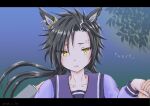  1boy 1girl air_shakur_(umamusume) animal_ears black_hair blue_background blush commentary_request ear_chain eyebrow_piercing face_piercing highres holding_hands horse_ears horse_girl leaf letterboxed linked_piercing long_hair long_sleeves looking_at_viewer open_mouth piercing pov pov_hands purple_shirt school_uniform shirt solo_focus tomohisa tracen_school_uniform trainer_(umamusume) umamusume upper_body winter_uniform yellow_eyes 