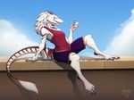 2017 4_fingers 4_toes anthro breasts clothed clothing cloud day digitigrade female full-length_portrait fur hair half-closed_eyes hi_res looking_at_viewer markings nawka outside paws portrait sergal signature sitting sky solo stripes tail_tuft toes tuft white_fur 