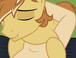  abdominal_bulge badumsquish bestiality equine feather_bangs_(mlp) feral first_person_view friendship_is_magic horse human human_on_feral interspecies male male/male mammal my_little_pony pony 